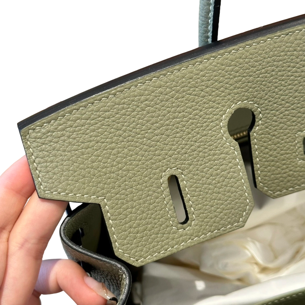 Birkin  Togo – Sage Green | Gold-Plated