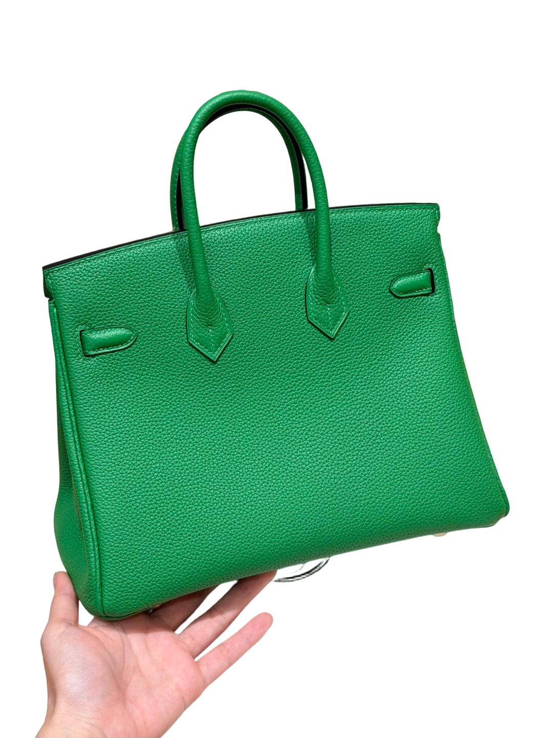 Birkin  Togo – Bamboo Green | Gold-Plated
