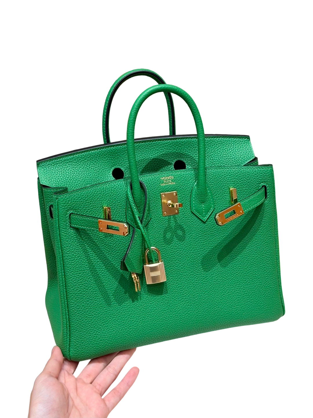Birkin  Togo – Bamboo Green | Gold-Plated