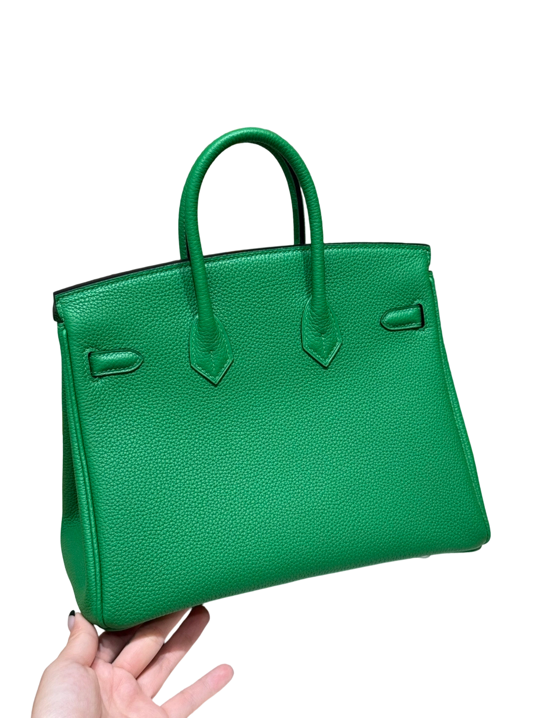 Birkin  Togo – Bamboo Green | Palladium