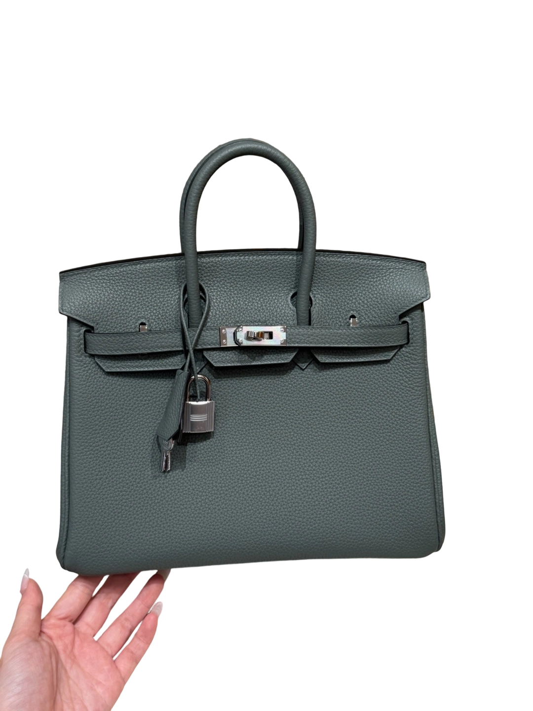 Birkin  Togo – Almond Green | Palladium