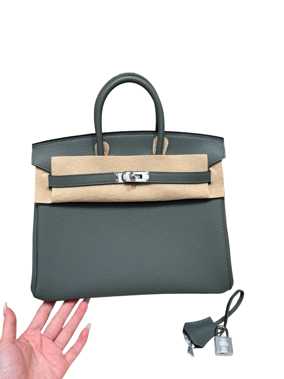 Birkin  Togo – Almond Green | Palladium