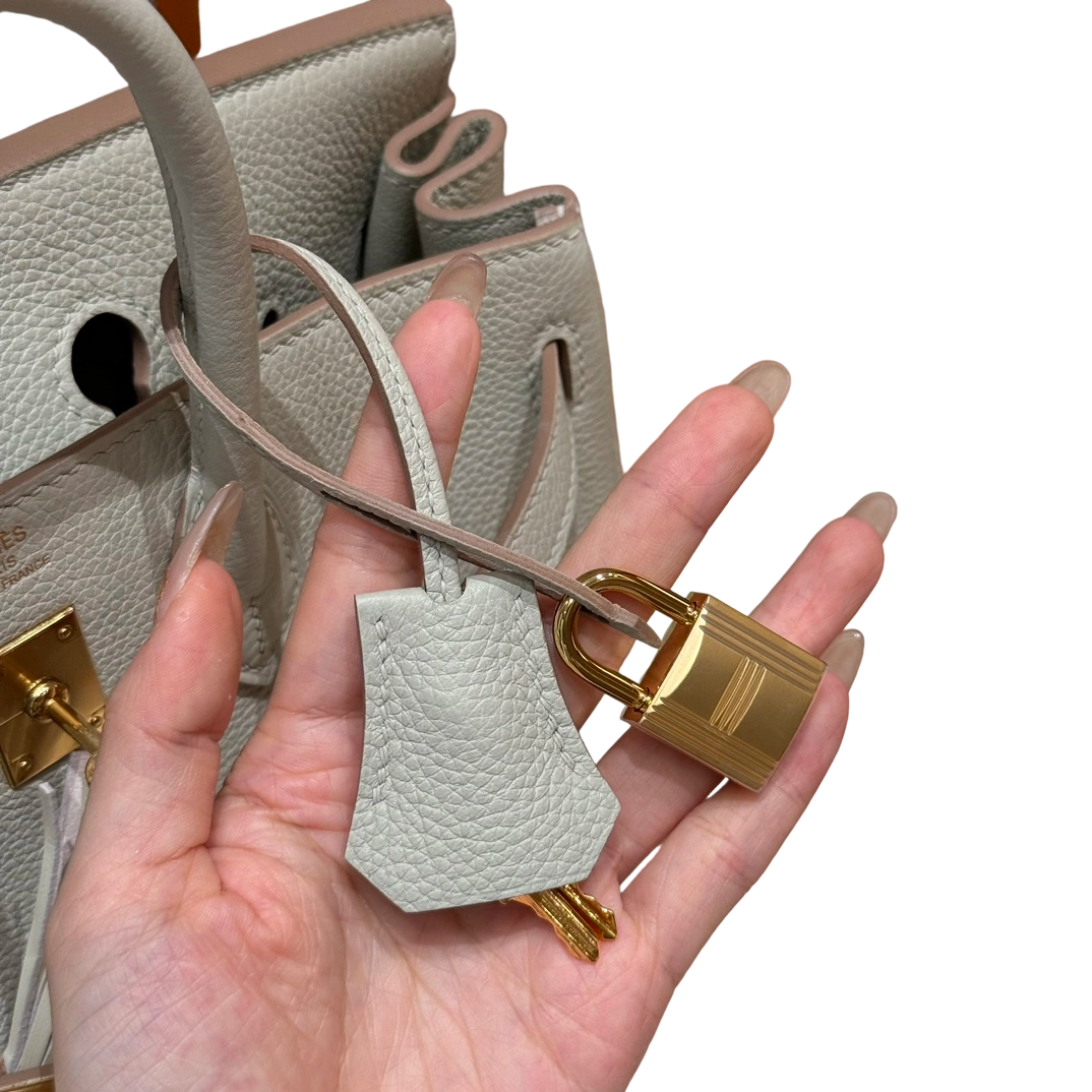 Birkin  Togo – Glacier White | Gold-Plated