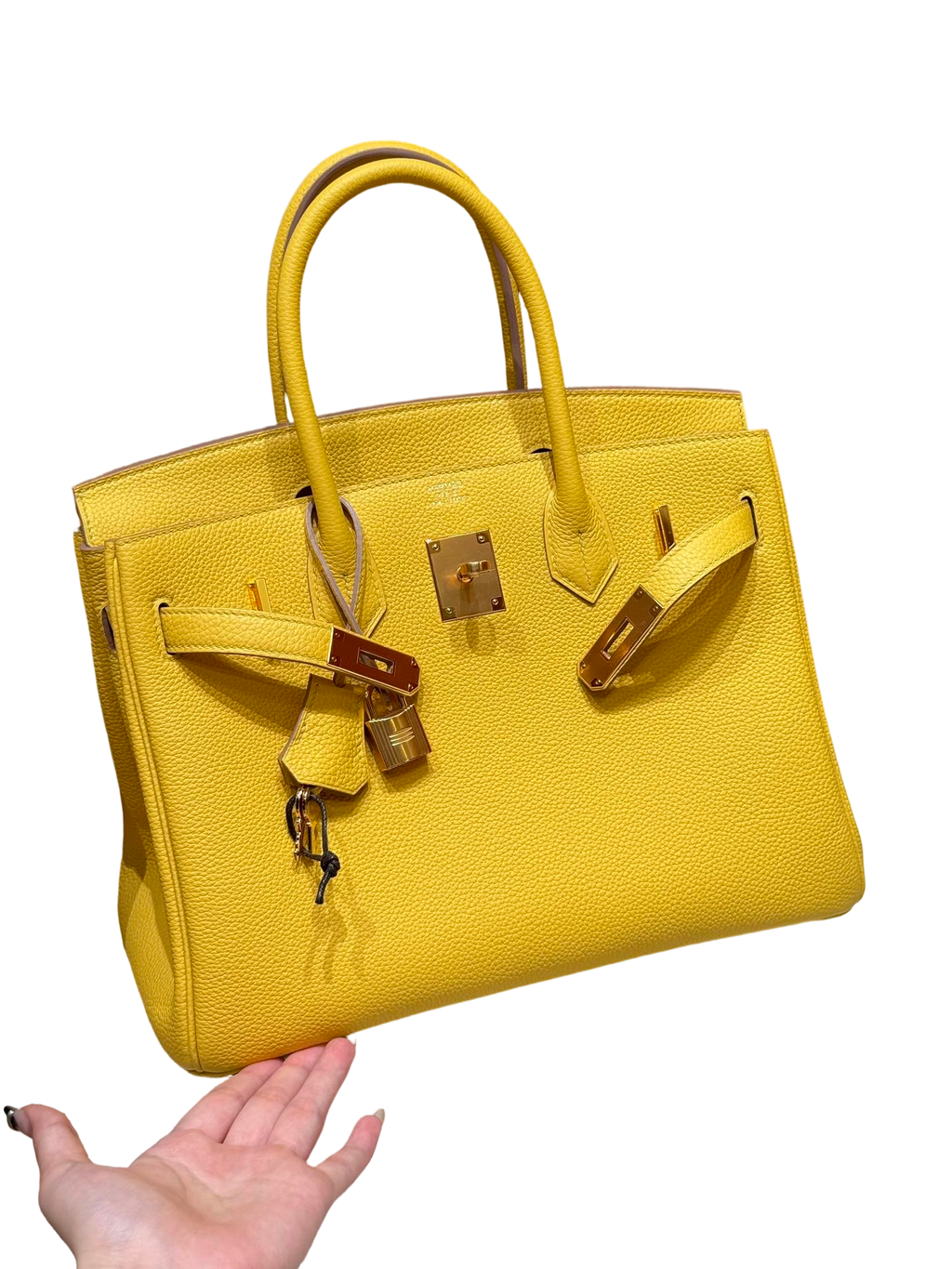 Birkin  Togo – Lemon Yellow | Gold-Plated