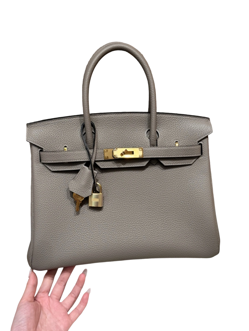 Birkin  Togo  – Asphalt Grey | Gold-Plated